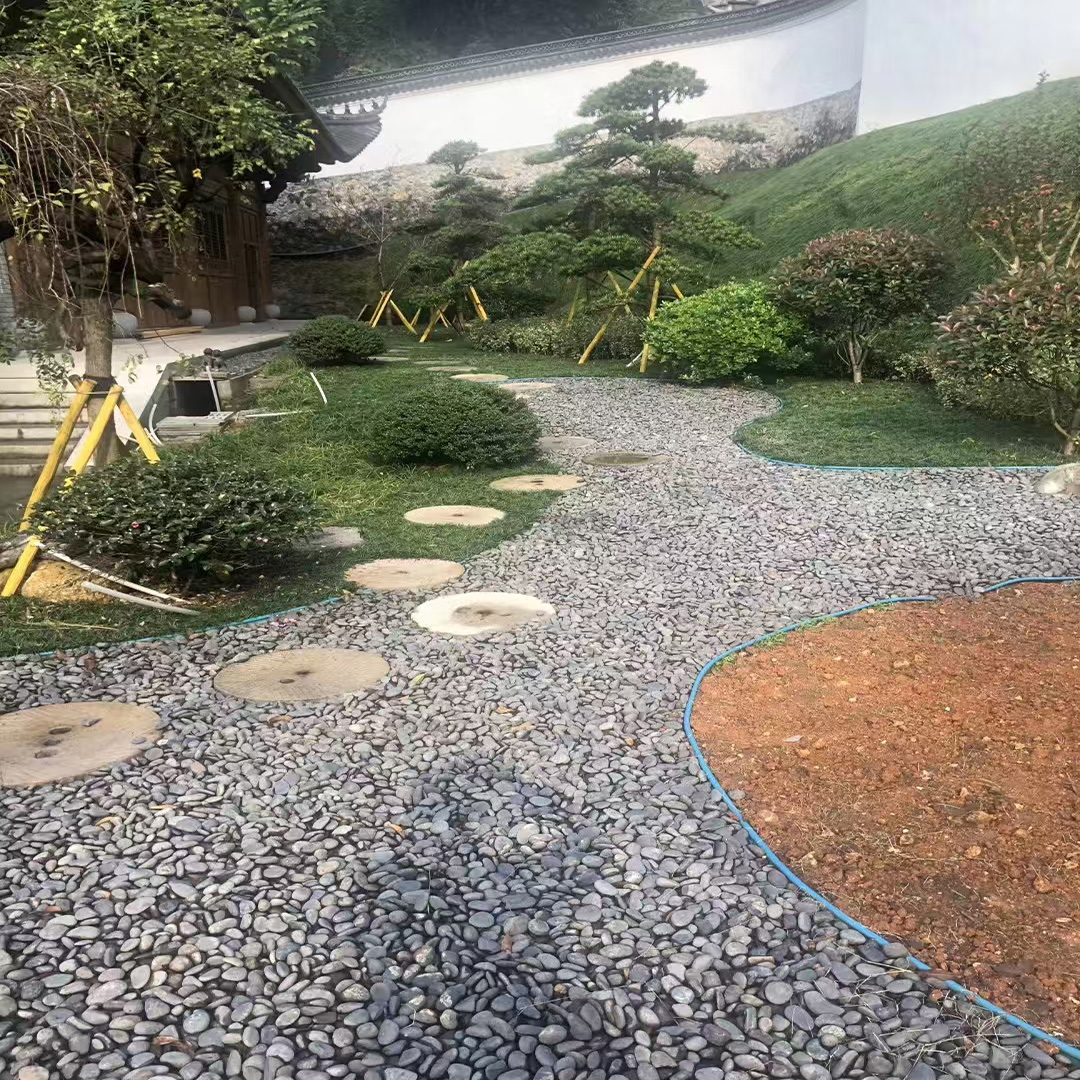 微信图片_20250523091212